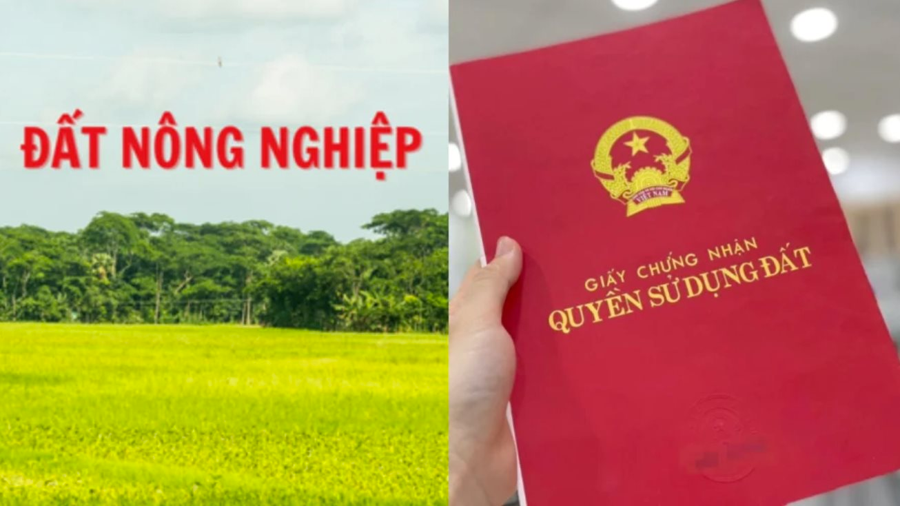 cach tinh tien su dung dat khi chuyen dat nong nghiep len dat tho cu theo luat moi nguoi dan nen biet