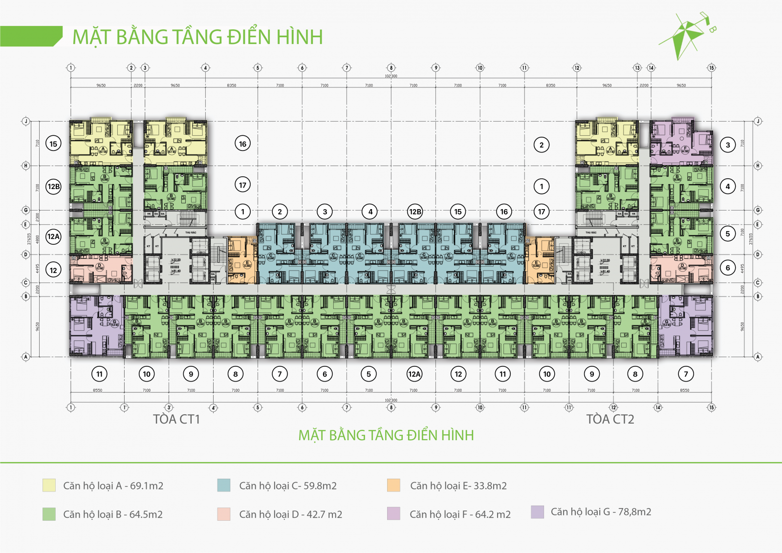 mat băng tang ecolife