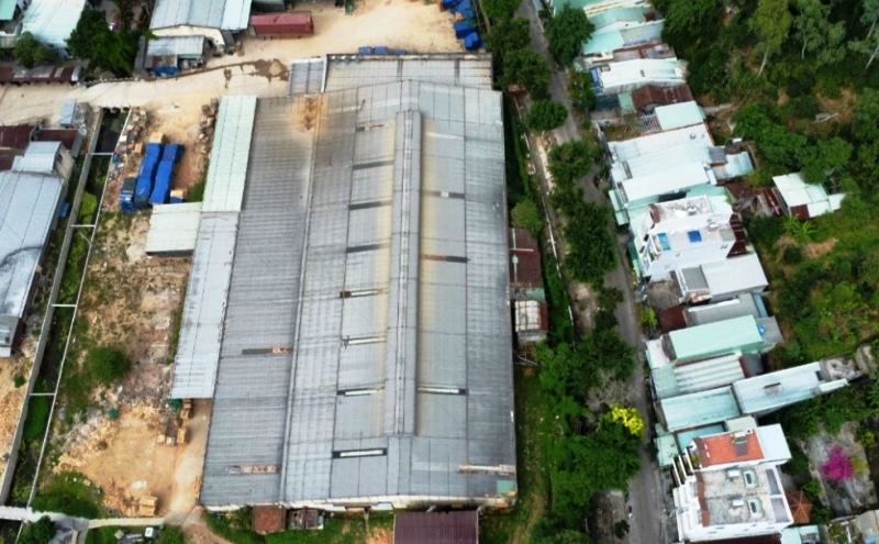 cong ty trainco binh dinh lam chu dau tu du an nha o xa hoi bong hong