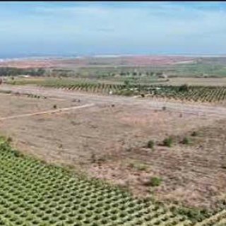 Đất gần 2ha MT đường Phan Thiết