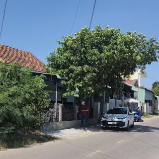 Đất Xuân Phương