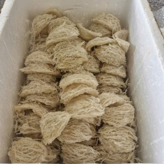 Nhà yến Phước Hiệp